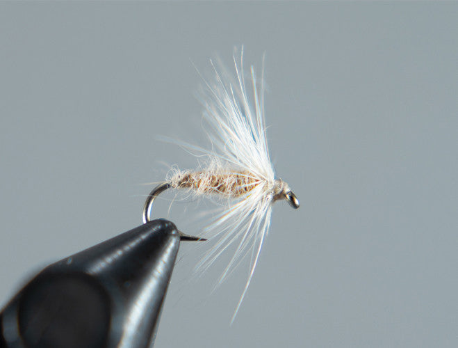 Tan  Soft Hackle Sowbug