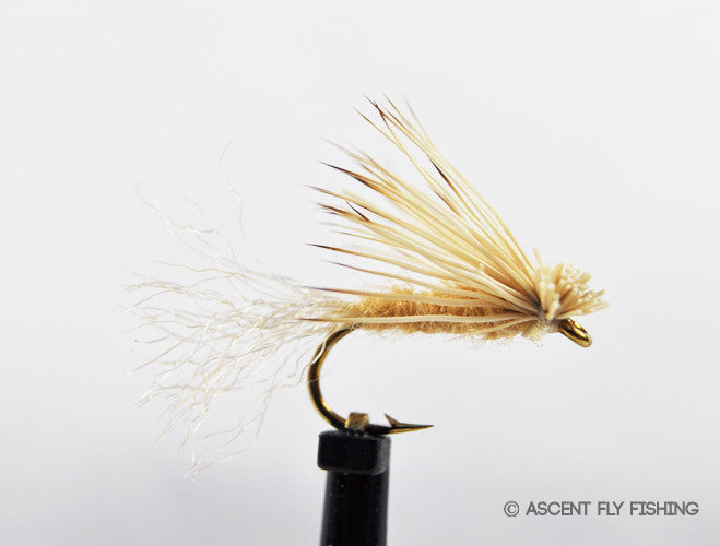 X Caddis — Ascent Fly Fishing