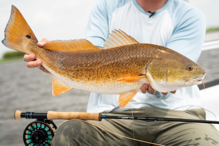 TFO Moment Fly Rod