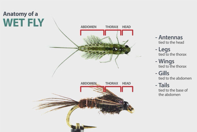 Teaching the viewer to Identify Dry, Wet, & Streamer Patterns