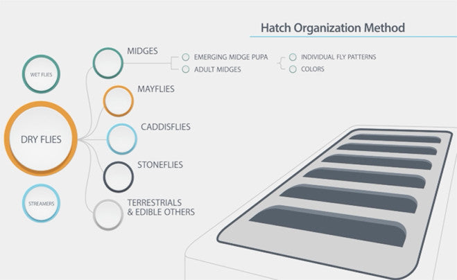 Describing the Hatch Organization Method