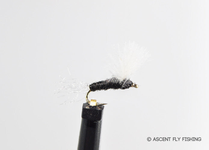 Trico Sparkle Dun — Ascent Fly Fishing