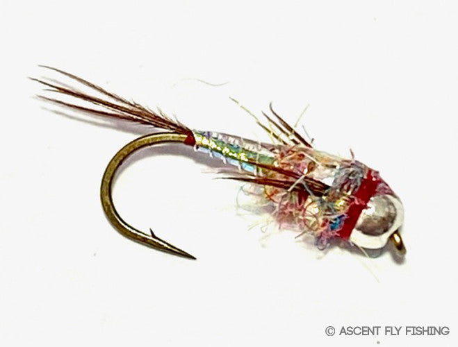 Rainbow Warrior Tungsten Two Bit Hooker