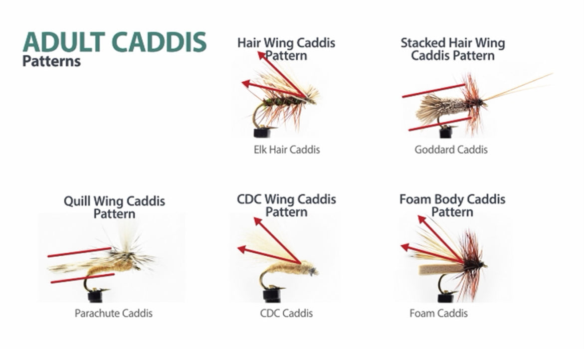 bright box fly fishing pattern Creating Order in Your Fly Box: Fly Box Organization Guide