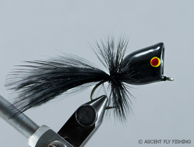 Walt's Large Popper - Black