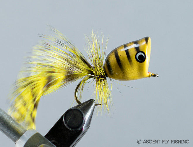 Walt's Large Popper  - Yellow Bee