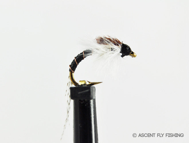 Black Willy's Chironomid