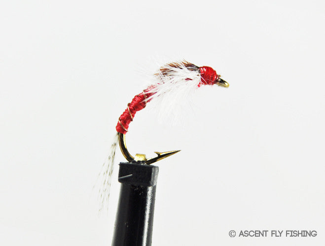 Red Willy's Chironomid