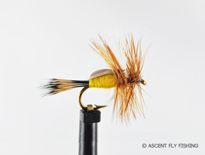 Humpy — Ascent Fly Fishing