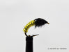 Yellow Jelly Cord Caddis Larva