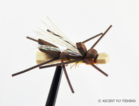 Amy's Ant Fly Pattern