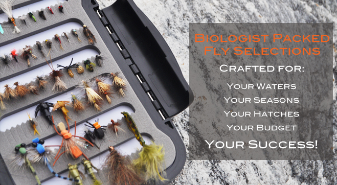 biologist-crafted-fly-selections.jpg