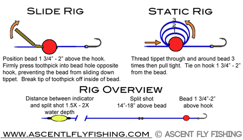 how-to-rig-peg-egg-troutbeads  Trout fishing tips, Salmon fishing, Crappie  fishing