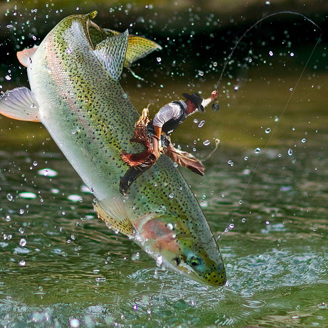 Landing Fish On A Fly Rod