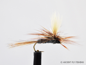 How to Hack Your Flies & Multiply Your Fly Box - Ascent Fly Fishing